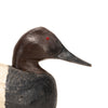 Canvasback Drake Decoy