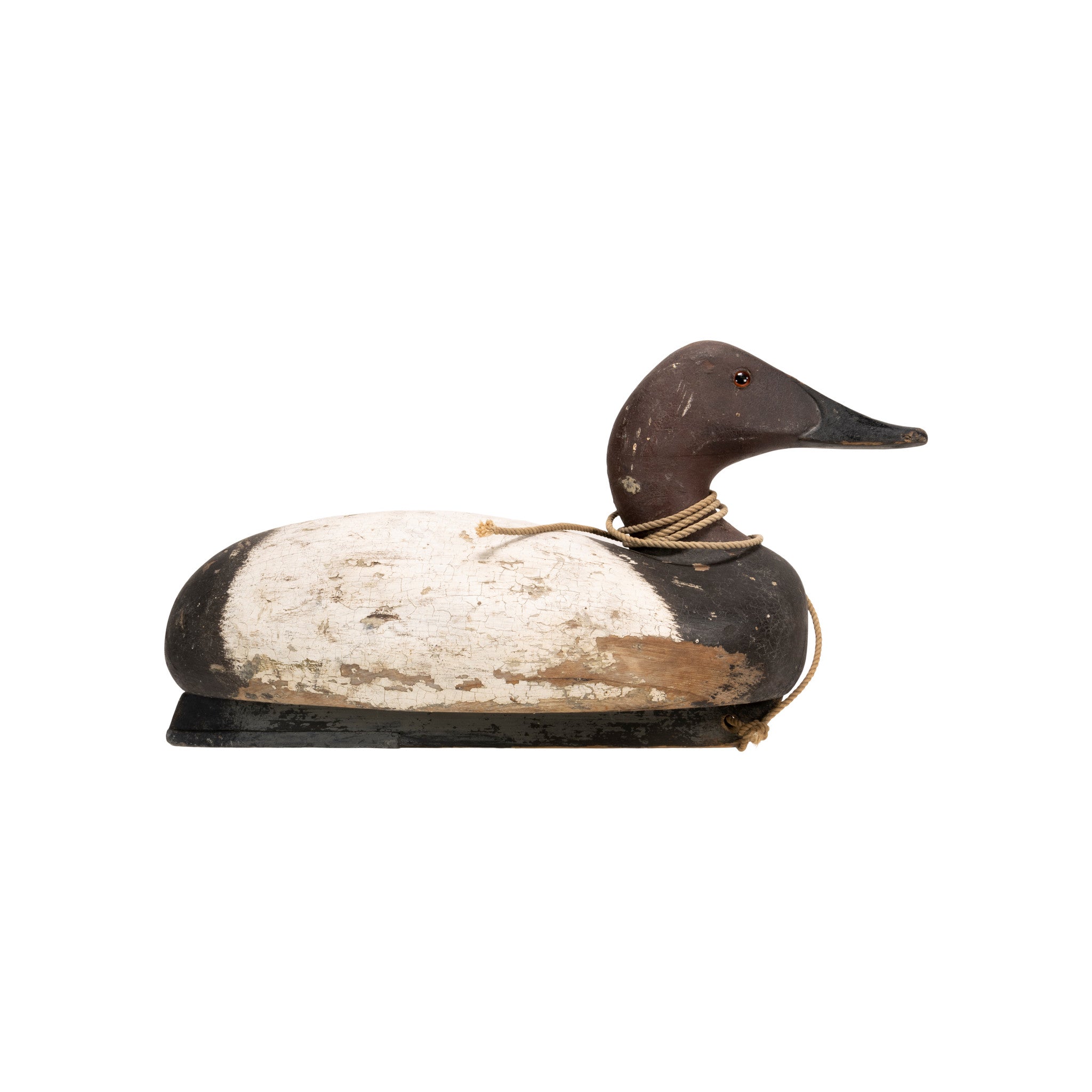 Canvasback Decoy