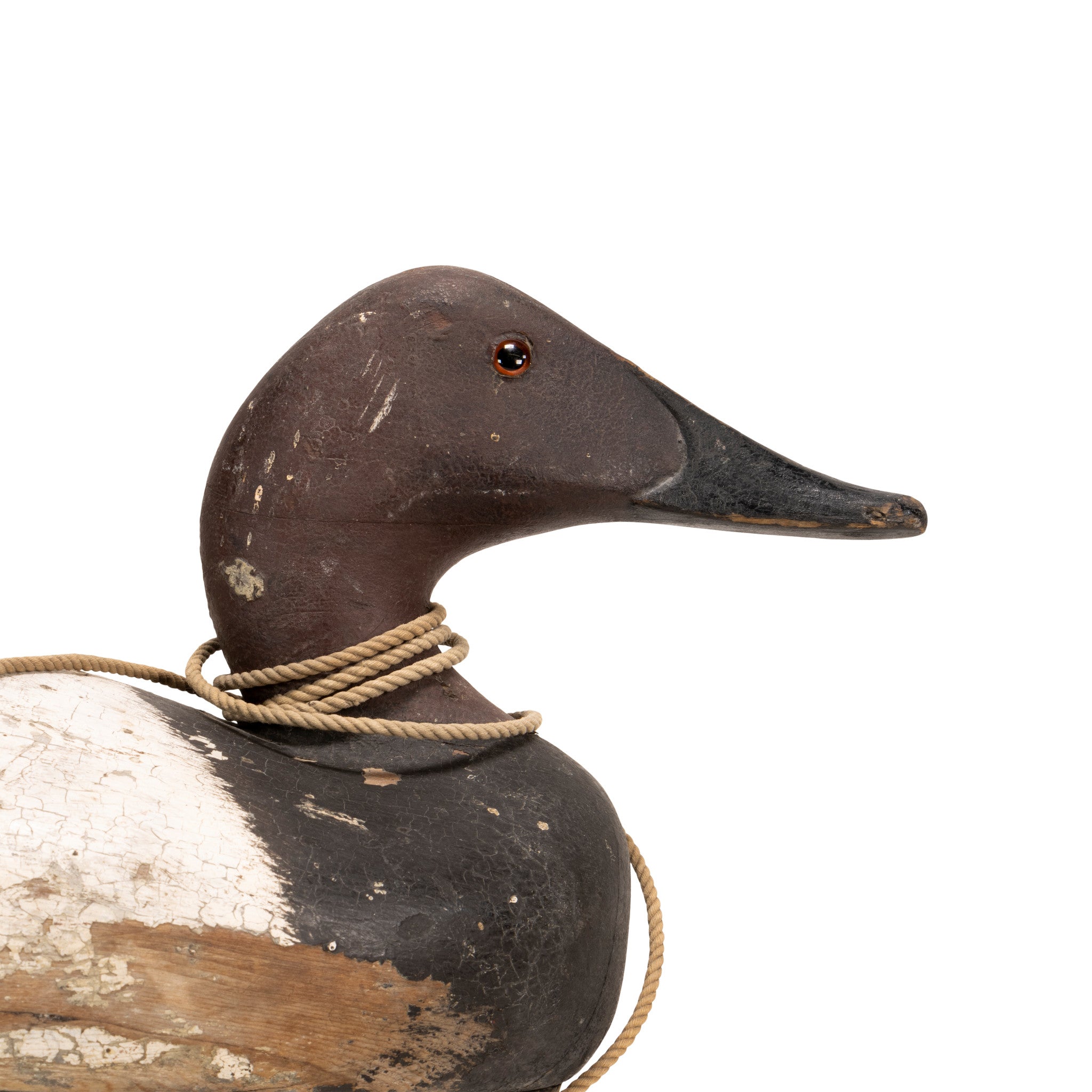 Canvasback Decoy