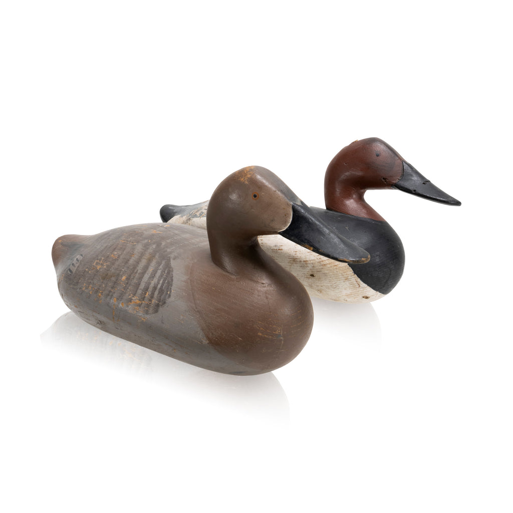Madison Mitchell Canvasback Decoy Pair — Cisco's Gallery