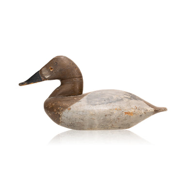 Canvasback Hen Decoy, Sporting Goods, Hunting, Waterfowl Decoy