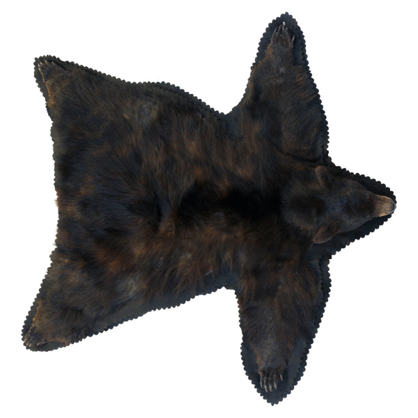 North Idaho Black Bear Rug, Furnishings, Taxidermy, Bear