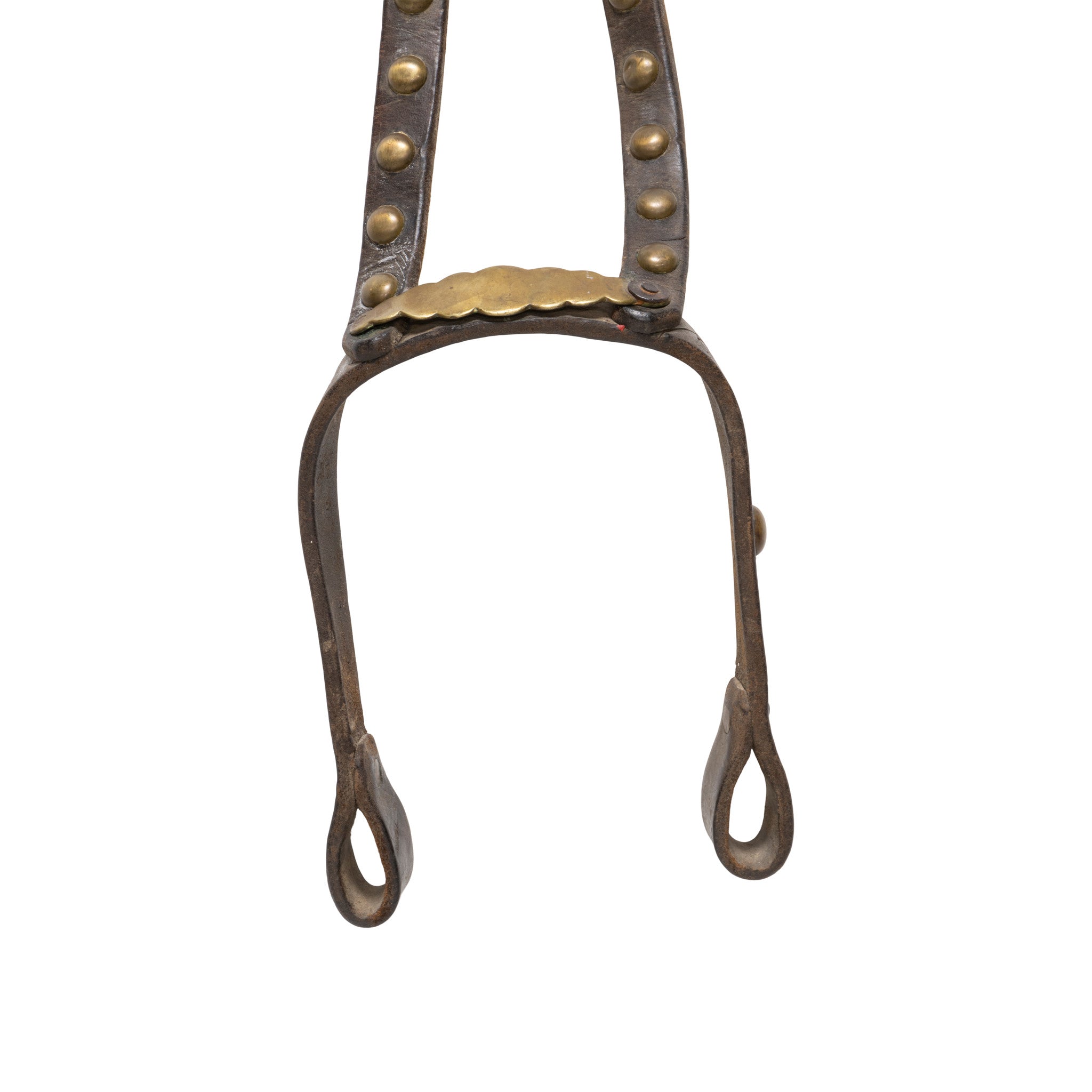 Horse Harness Frontal