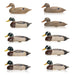 Ten Mallard Decoys, Sporting Goods, Hunting, Waterfowl Decoy