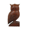 Folky Owl