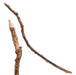 Folk Art Bird Cane, Furnishings, Decor, Cane