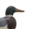 Mallard Drake Decoy