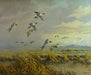 Pintails Over the Marsh by Hugh Monahan, Fine Art, Painting, Wildlife