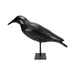 Crow Decoy, Sporting Goods, Hunting, Waterfowl Decoy