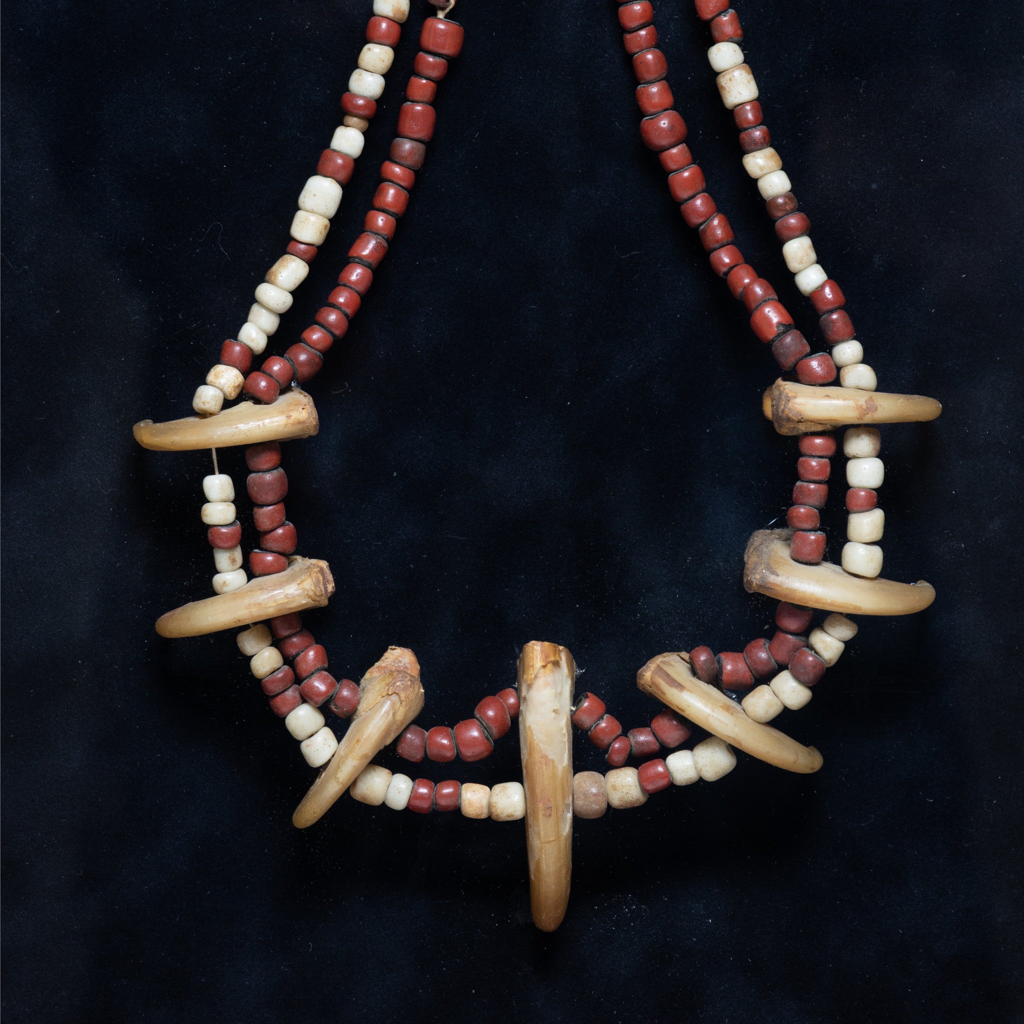Grizzly and Lion Claw Necklace