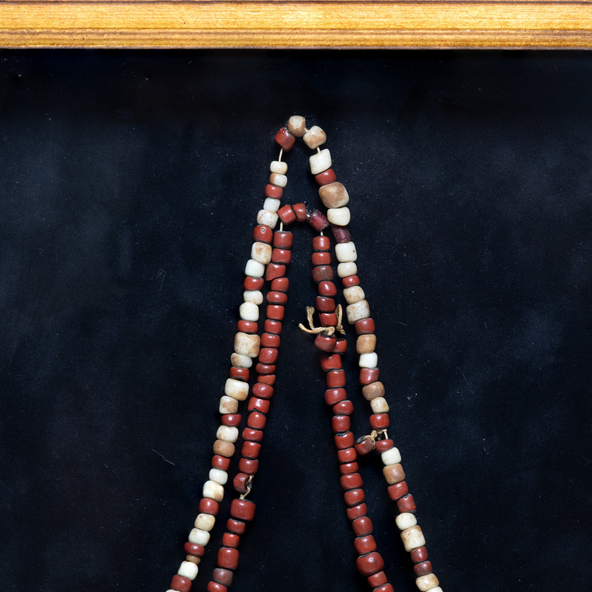 Grizzly and Lion Claw Necklace