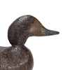 Pratt Green Wing Teal Decoy