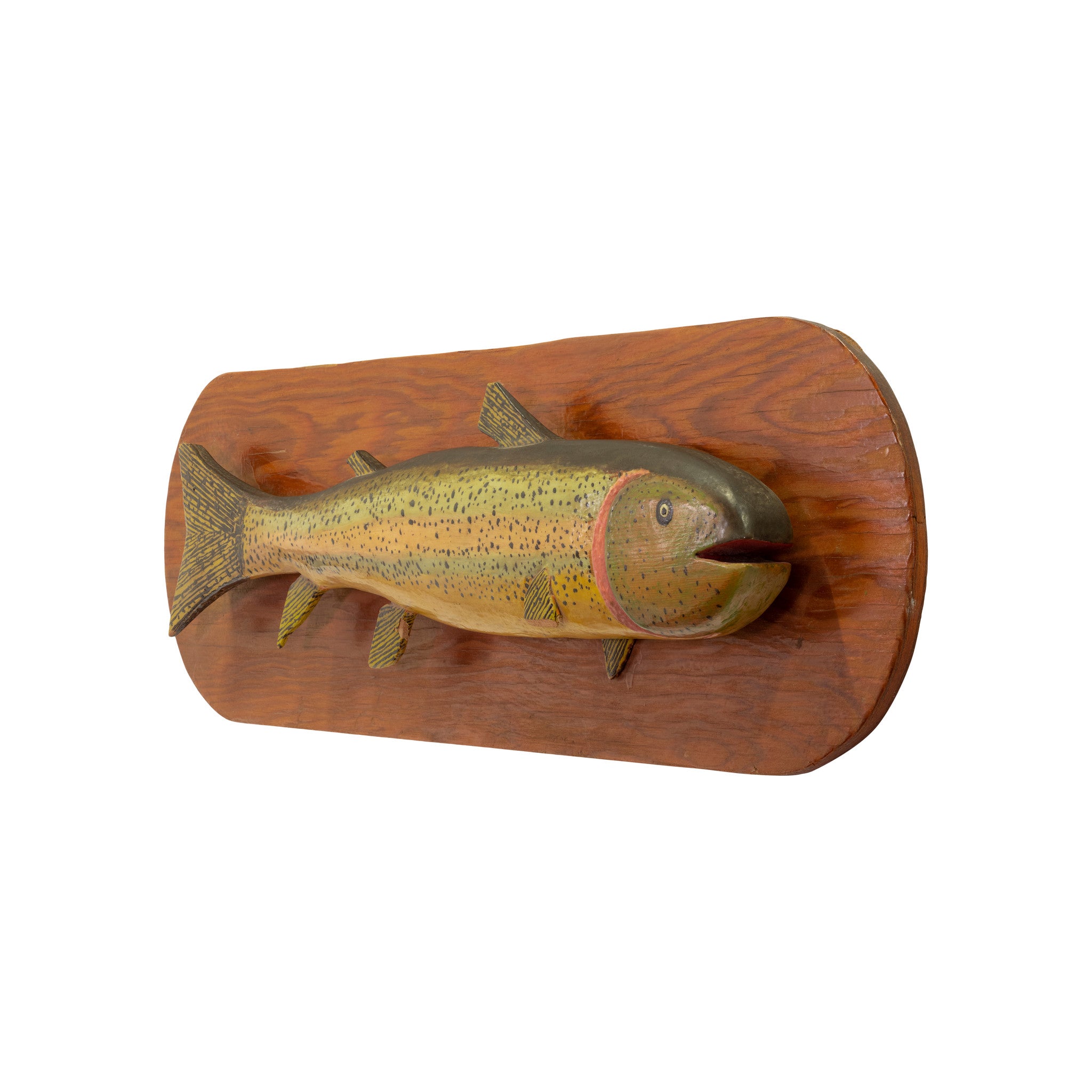 Folky Rainbow Trout