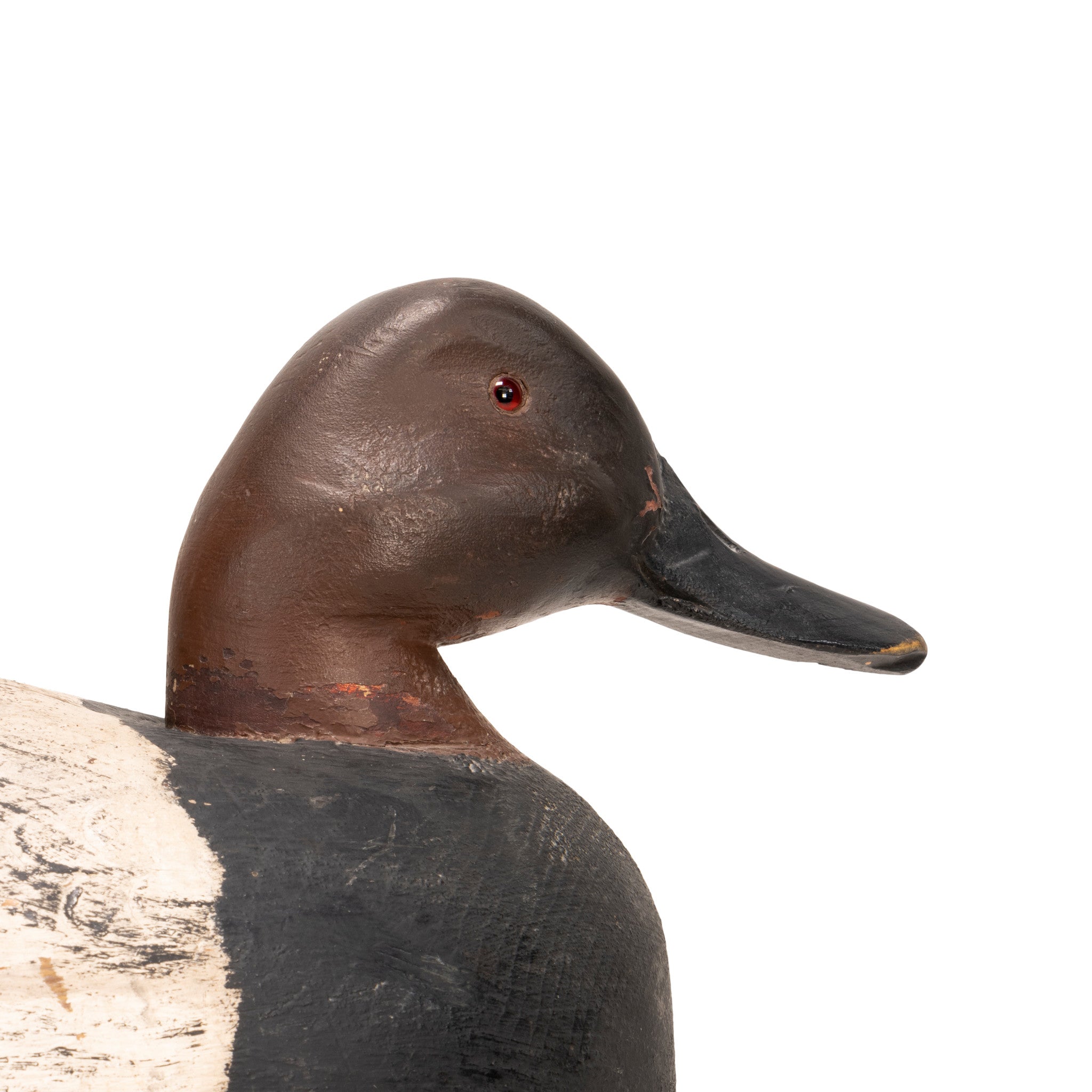 Walter Snow Canvasback Decoy