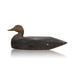 Black Duck Decoy, Sporting Goods, Hunting, Waterfowl Decoy
