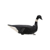 Brant Decoy