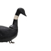 Brant Decoy