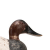 Joe Gigle Canvasback Decoy