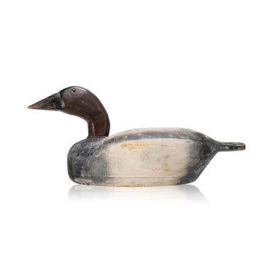Artin and Moak Canvasback Drake Decoy, Sporting Goods, Hunting, Waterfowl Decoy