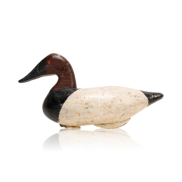 Stanley Evans Canvasback Decoy, Sporting Goods, Hunting, Waterfowl Decoy