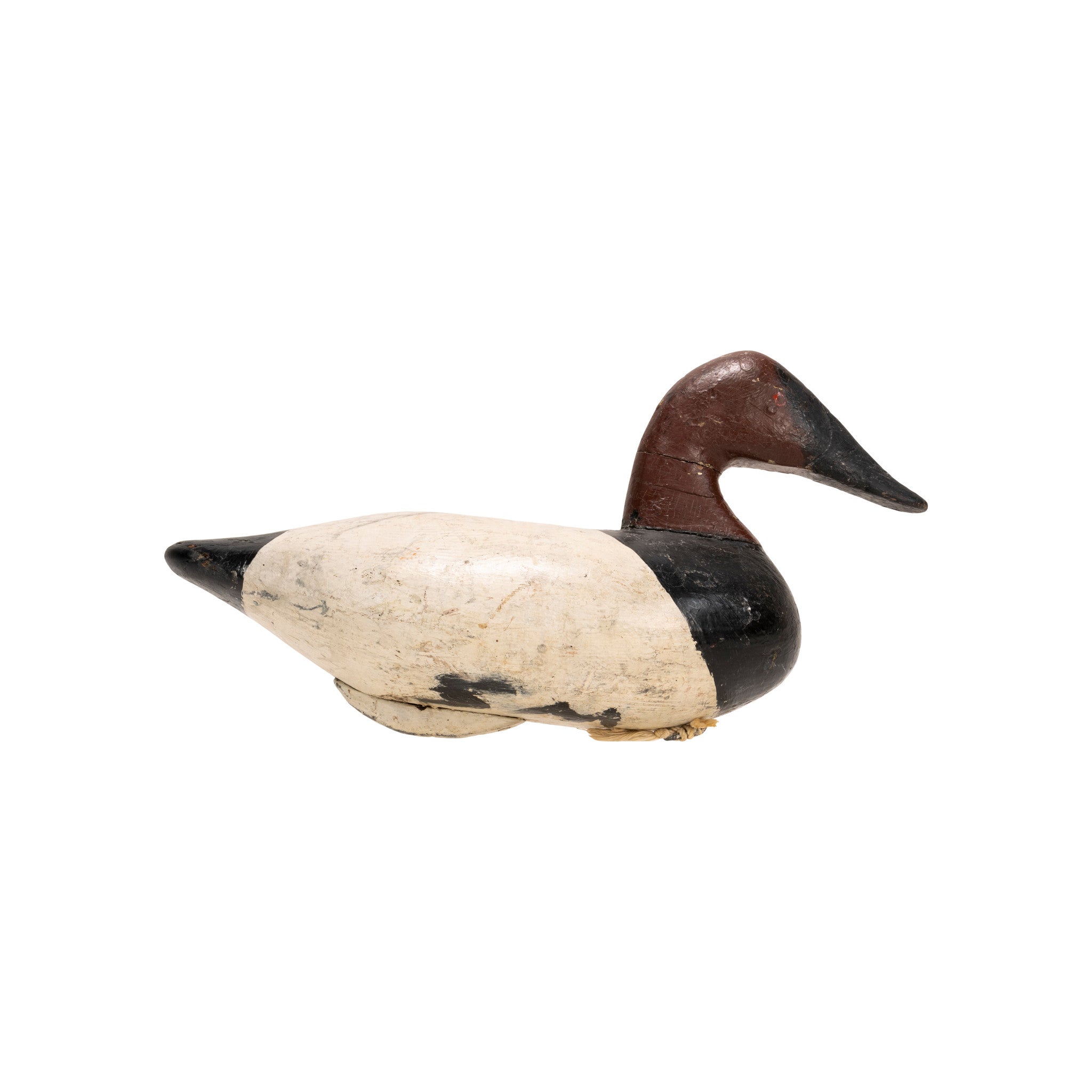 Stanley Evans Canvasback Decoy