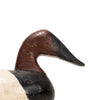 Stanley Evans Canvasback Decoy