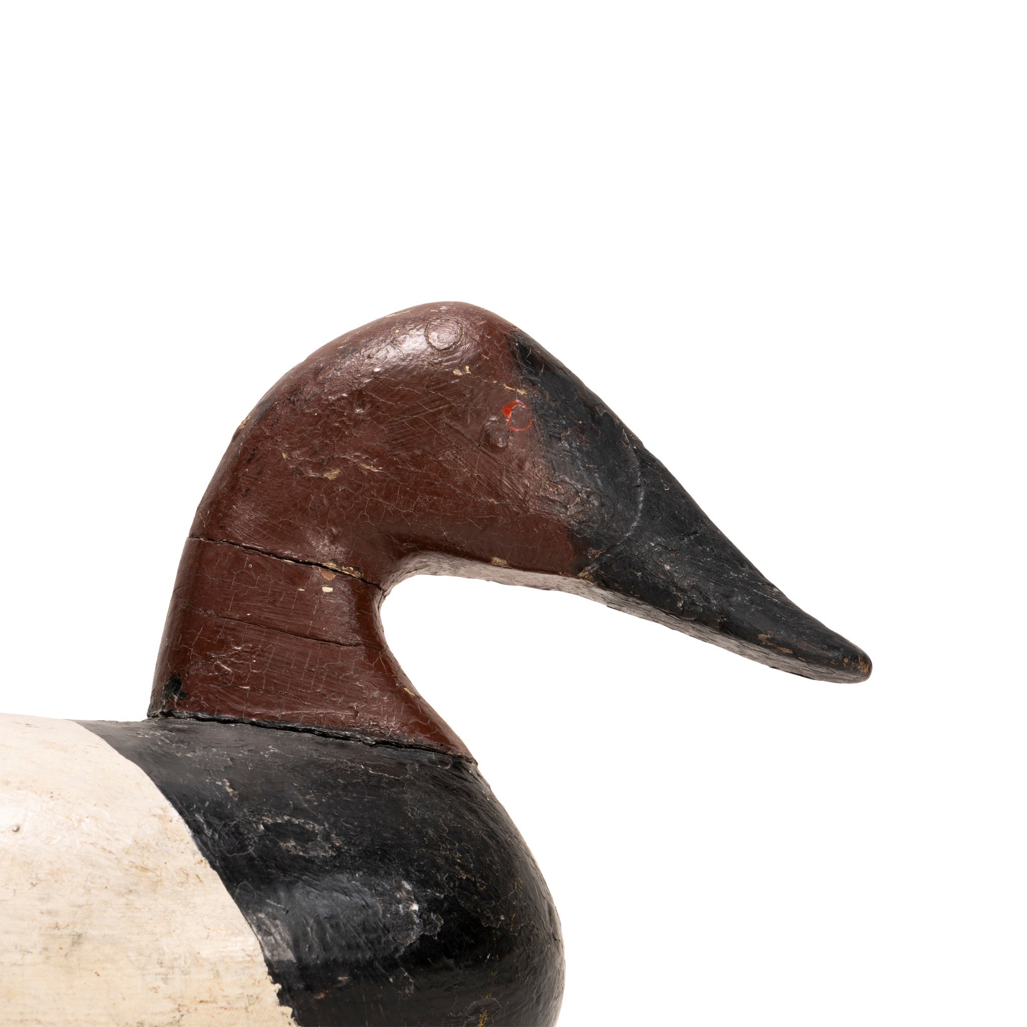 Stanley Evans Canvasback Decoy