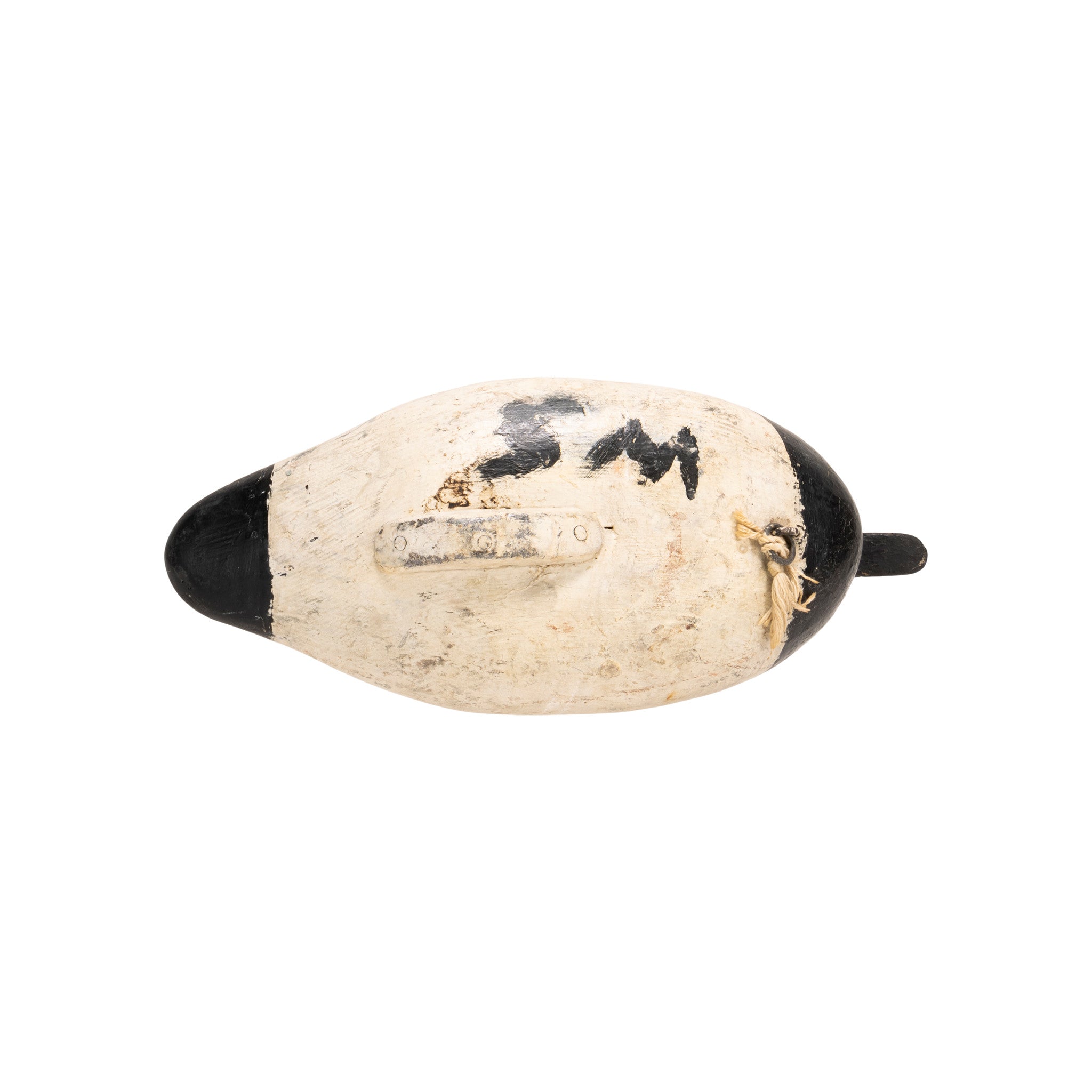 Stanley Evans Canvasback Decoy
