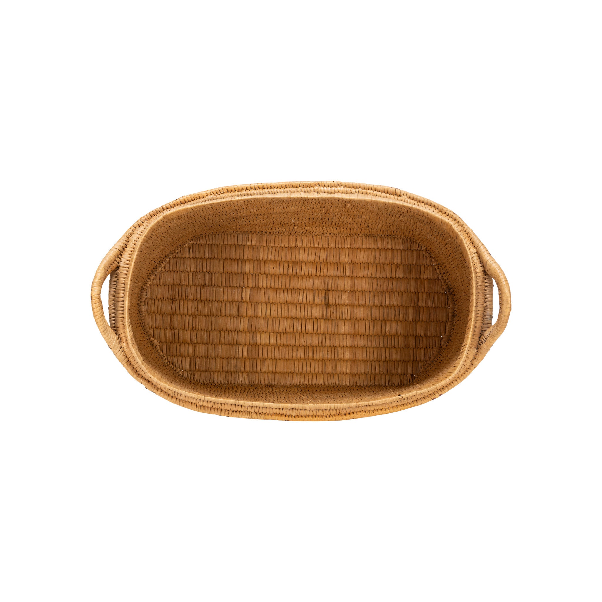 Salish Lidded Trunk