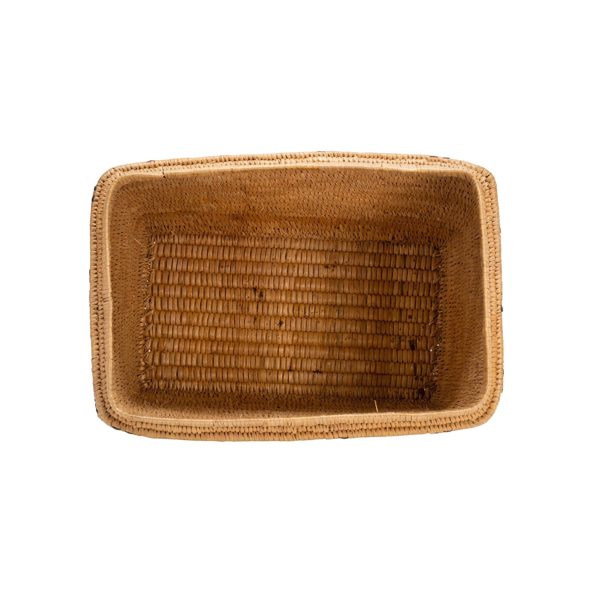 Salish Lidded Trunk