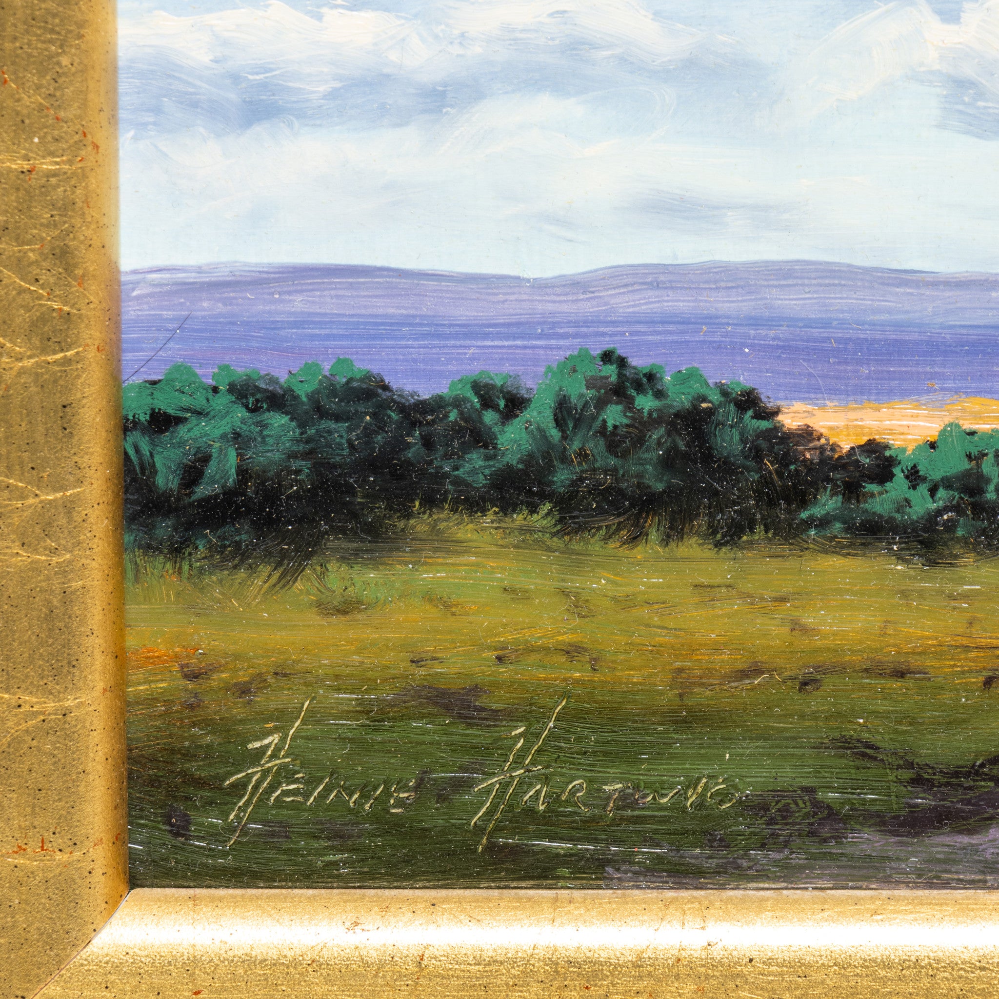 Spring Clouds By Heinie Hartwig