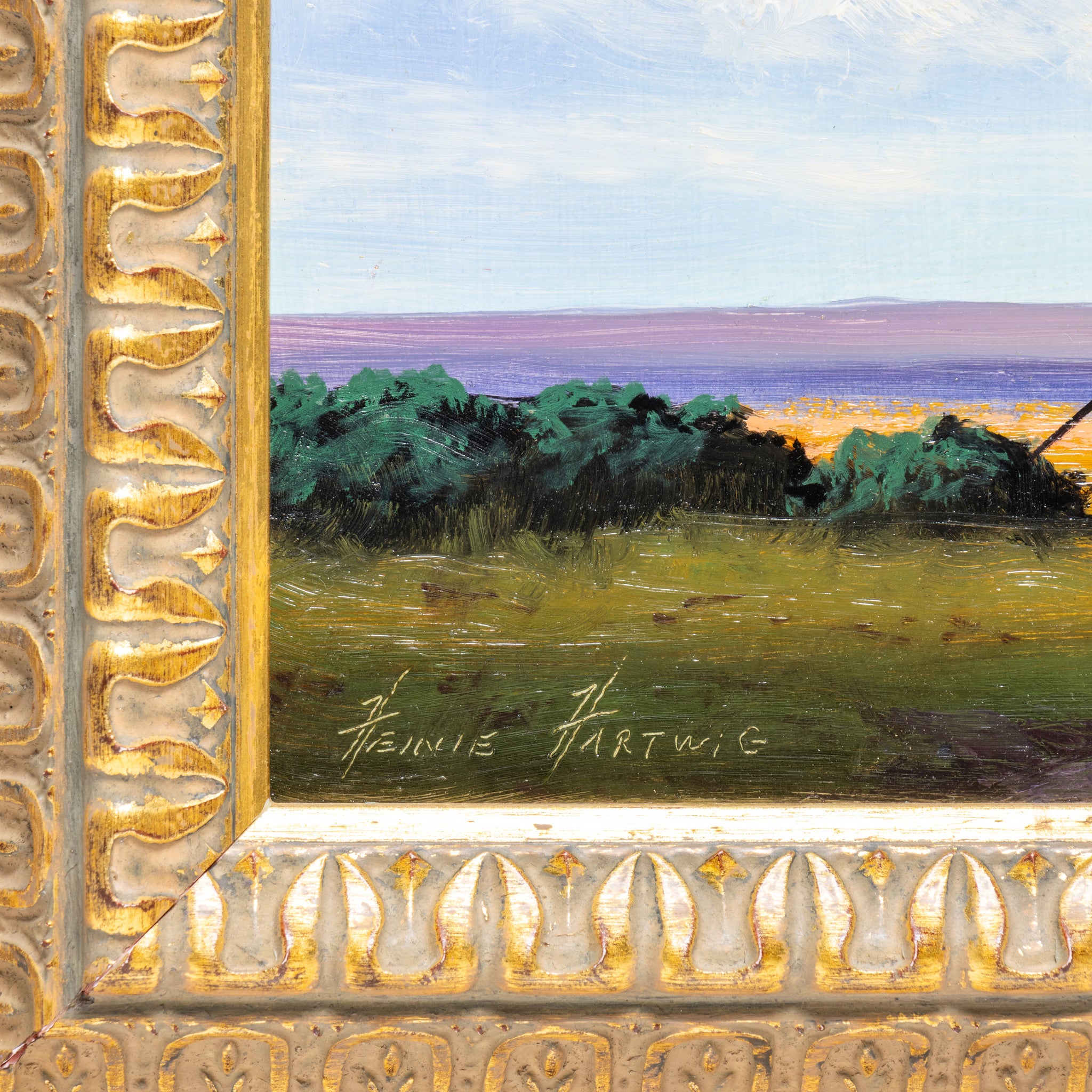 Prairie Spring By Heinie Hartwig