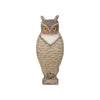 Owl Decoy