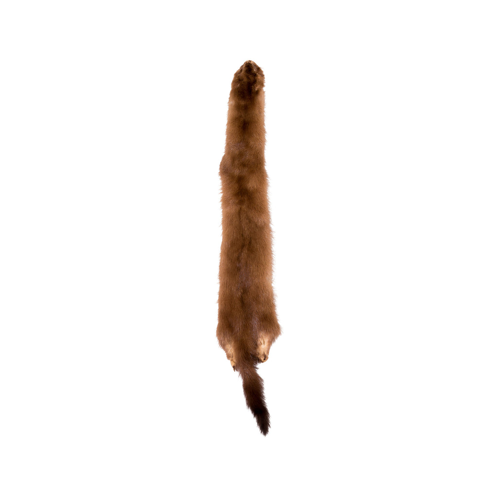 Wild Mink Pelt