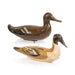 Scott Decoy Co. Pintail Decoy Pair, Sporting Goods, Hunting, Waterfowl Decoy