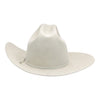 Resistol Cowboy Hat