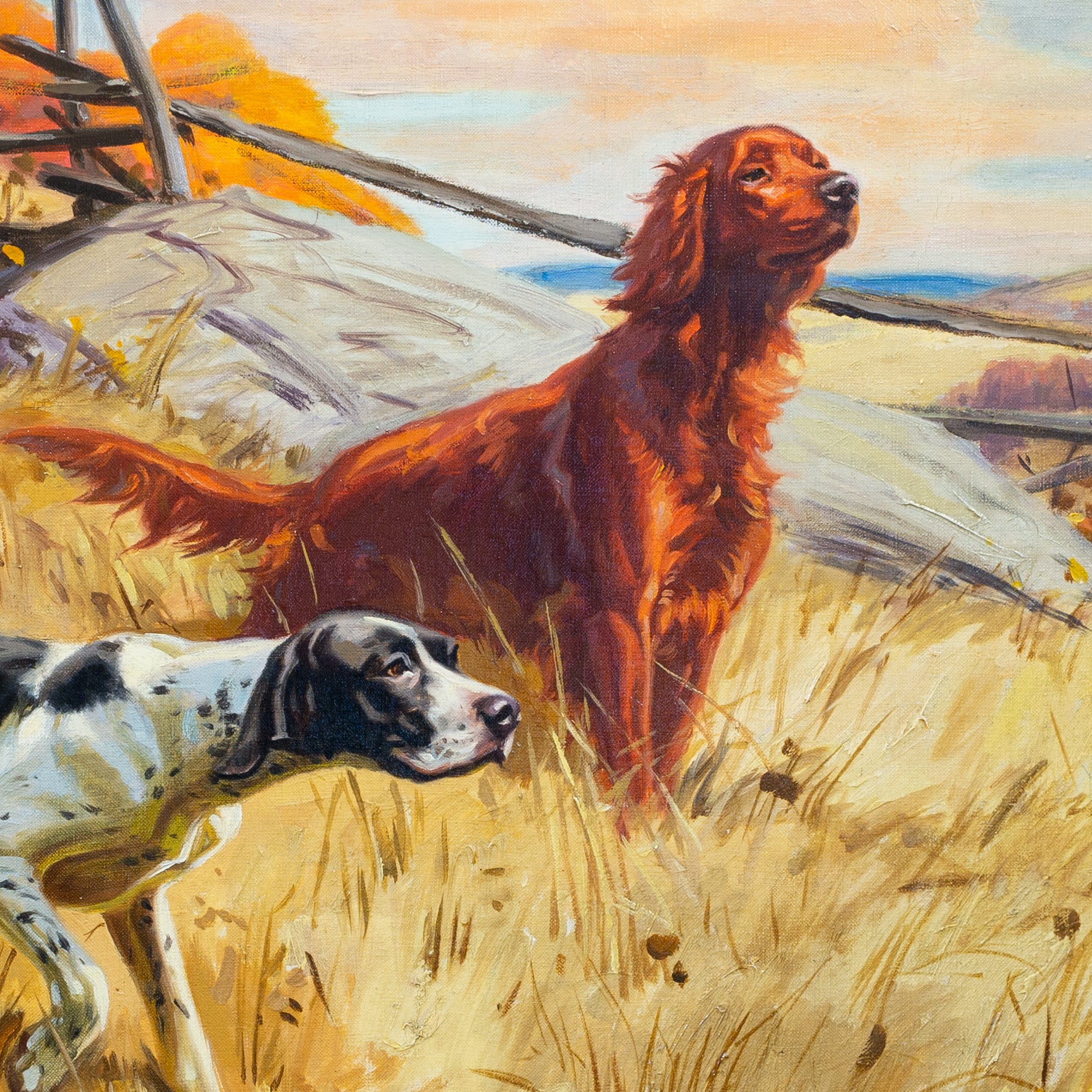 Pointer & Setter by Henry Hintermeister