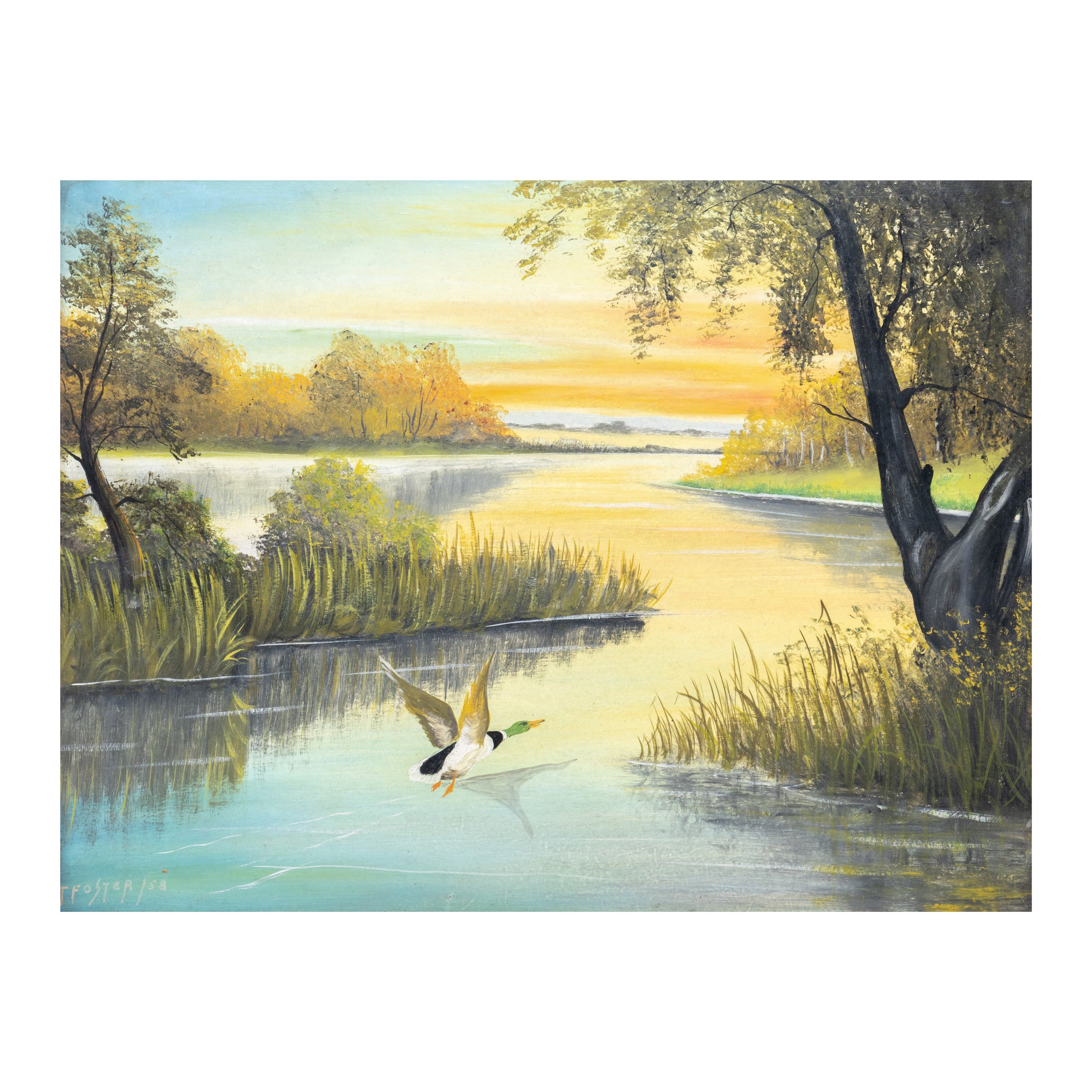 "Mallard" by T. Foster, Fine Art, Painting, Wildlife