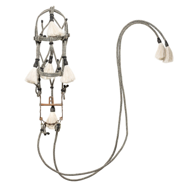 Deer Lodge Prison Horsehair Bridle, Western, Horse Gear, Bridle