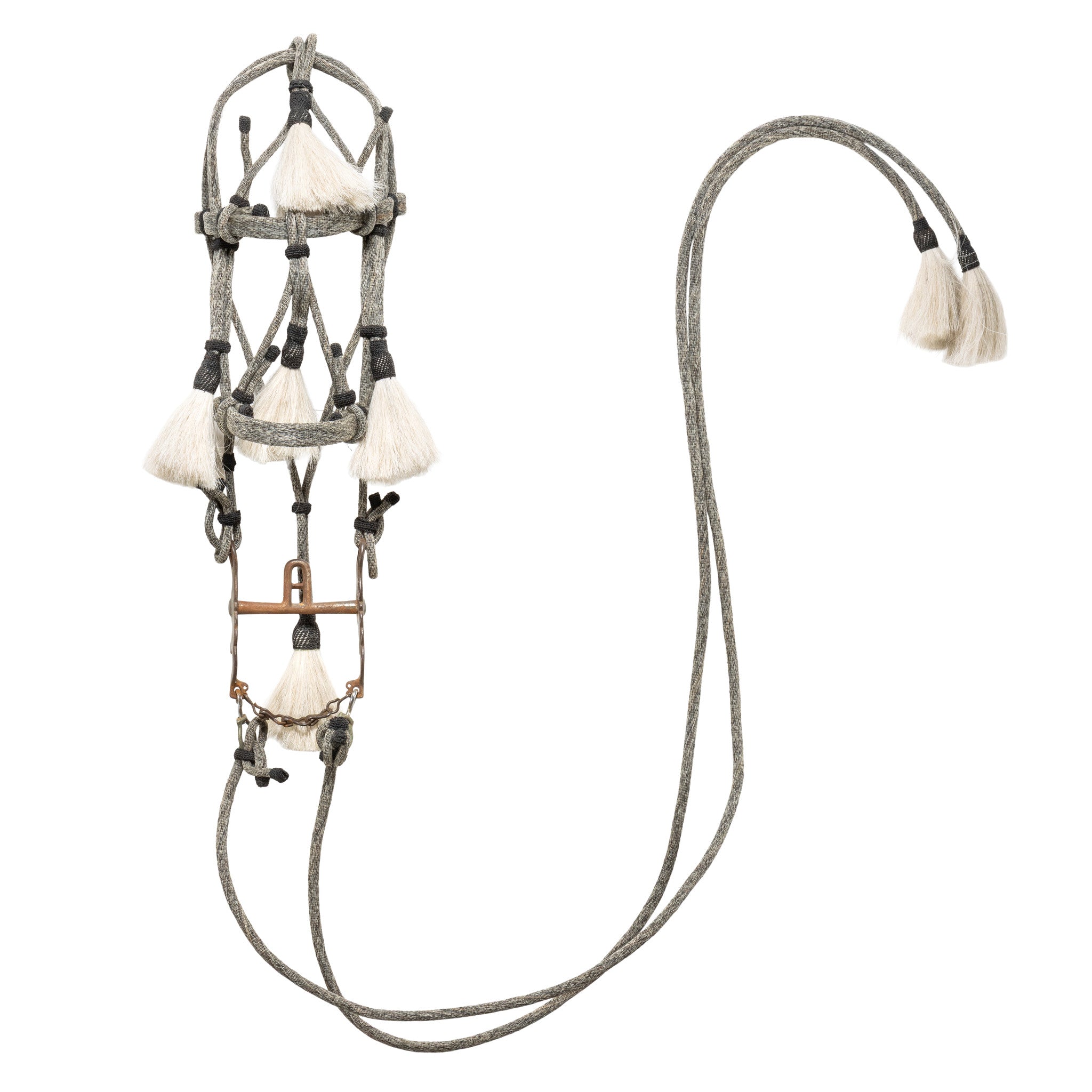 Deer Lodge Prison Horsehair Bridle, Western, Horse Gear, Bridle