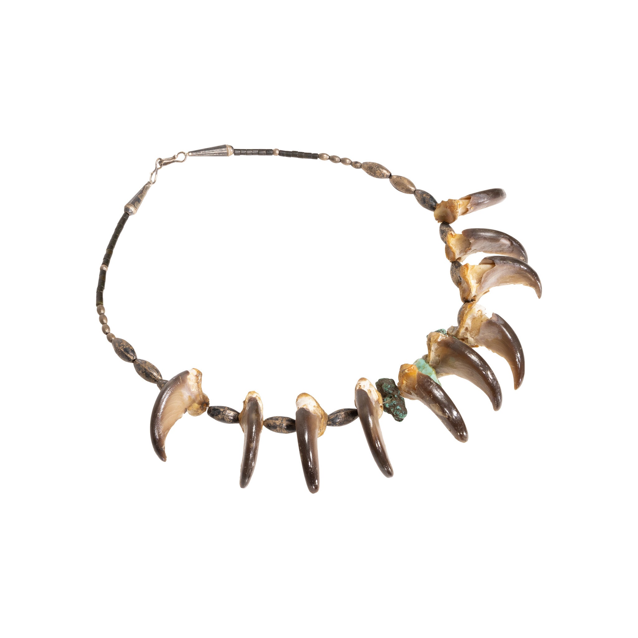 Plateau Bear Claw Necklace