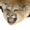 Large North Idaho Cougar Rug