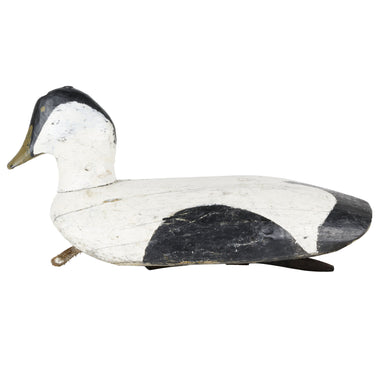 Eider Decoy, Sporting Goods, Hunting, Waterfowl Decoy