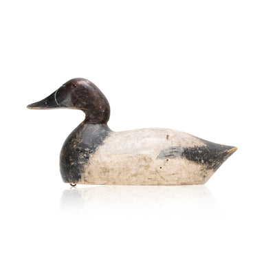 Mike Frisque Canvasback Drake, Sporting Goods, Hunting, Waterfowl Decoy