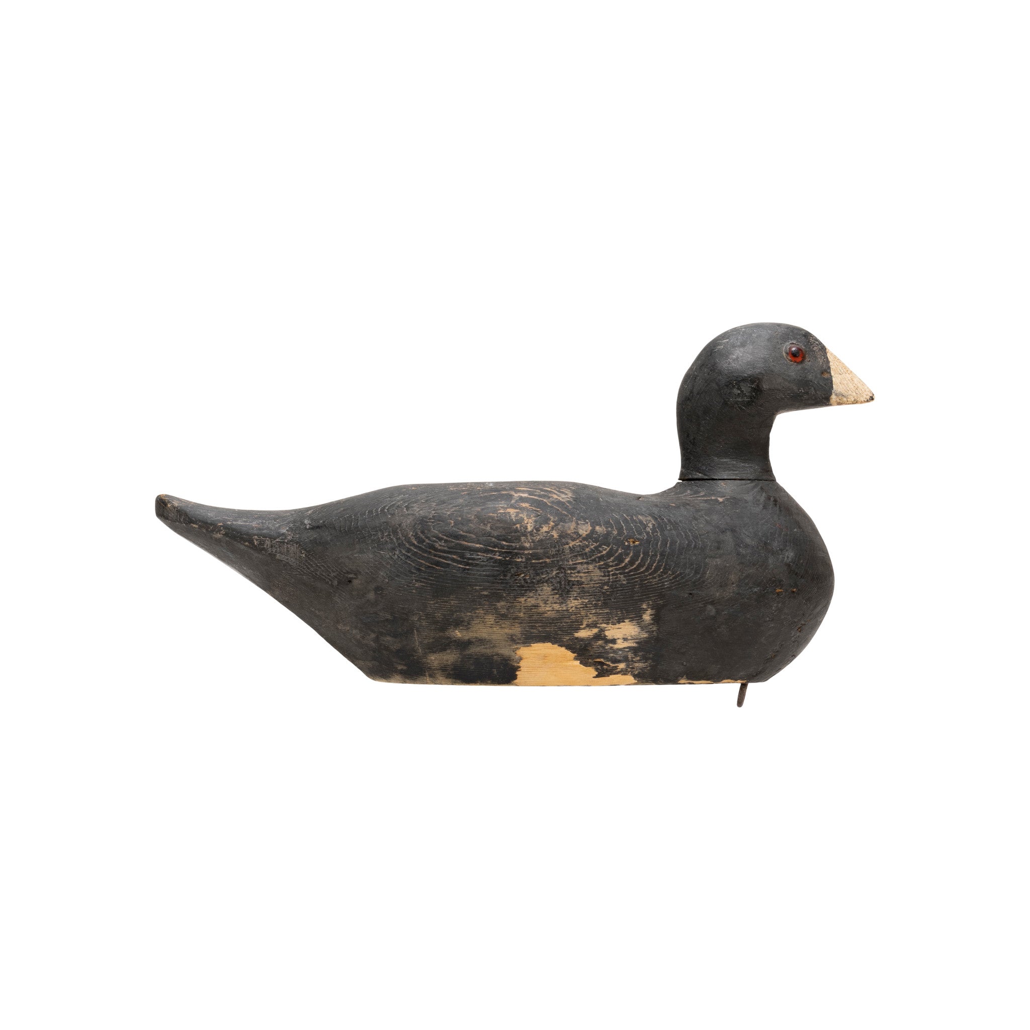Coot Decoy