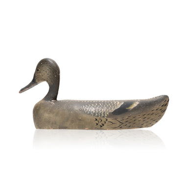 Pintail Hen Decoy, Sporting Goods, Hunting, Waterfowl Decoy