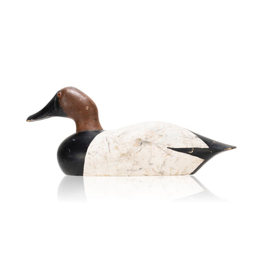 Canvasback Drake, Sporting Goods, Hunting, Waterfowl Decoy