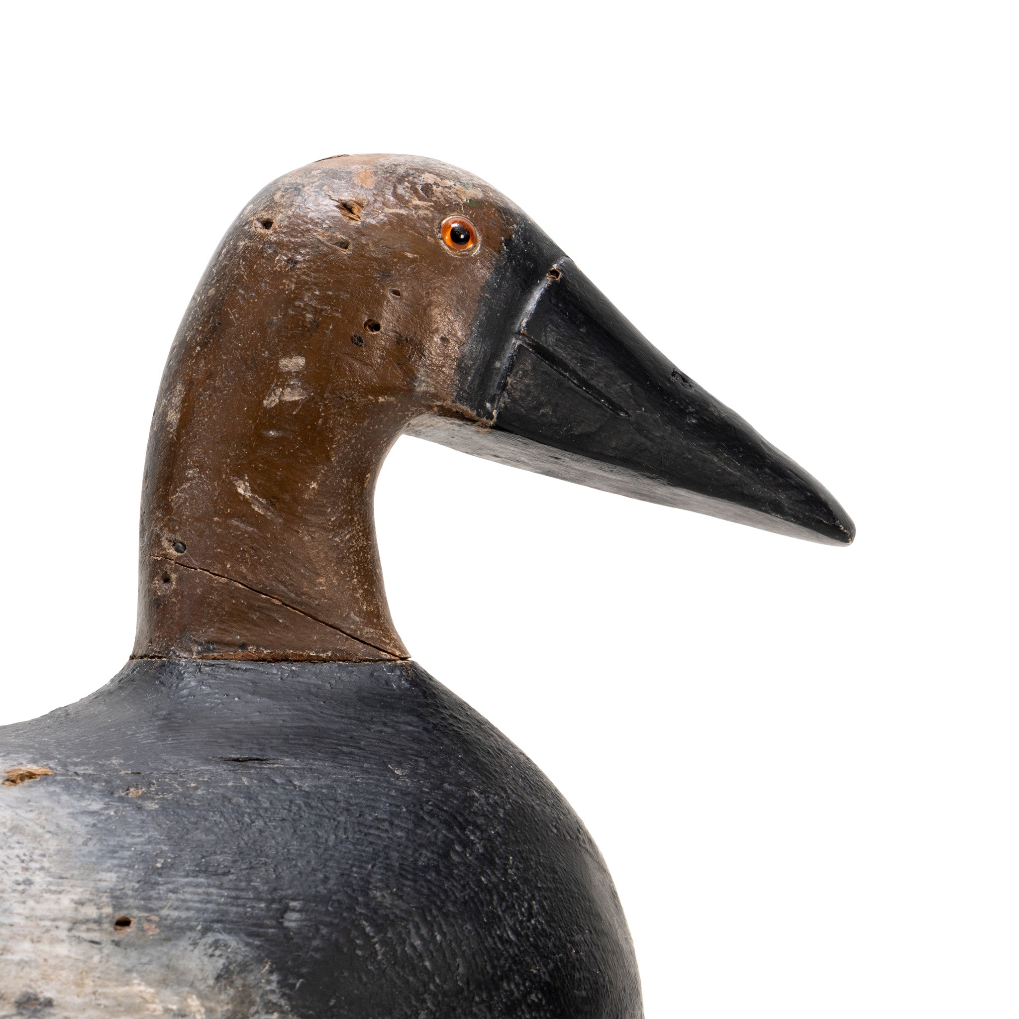 Canvasback Drake Decoy