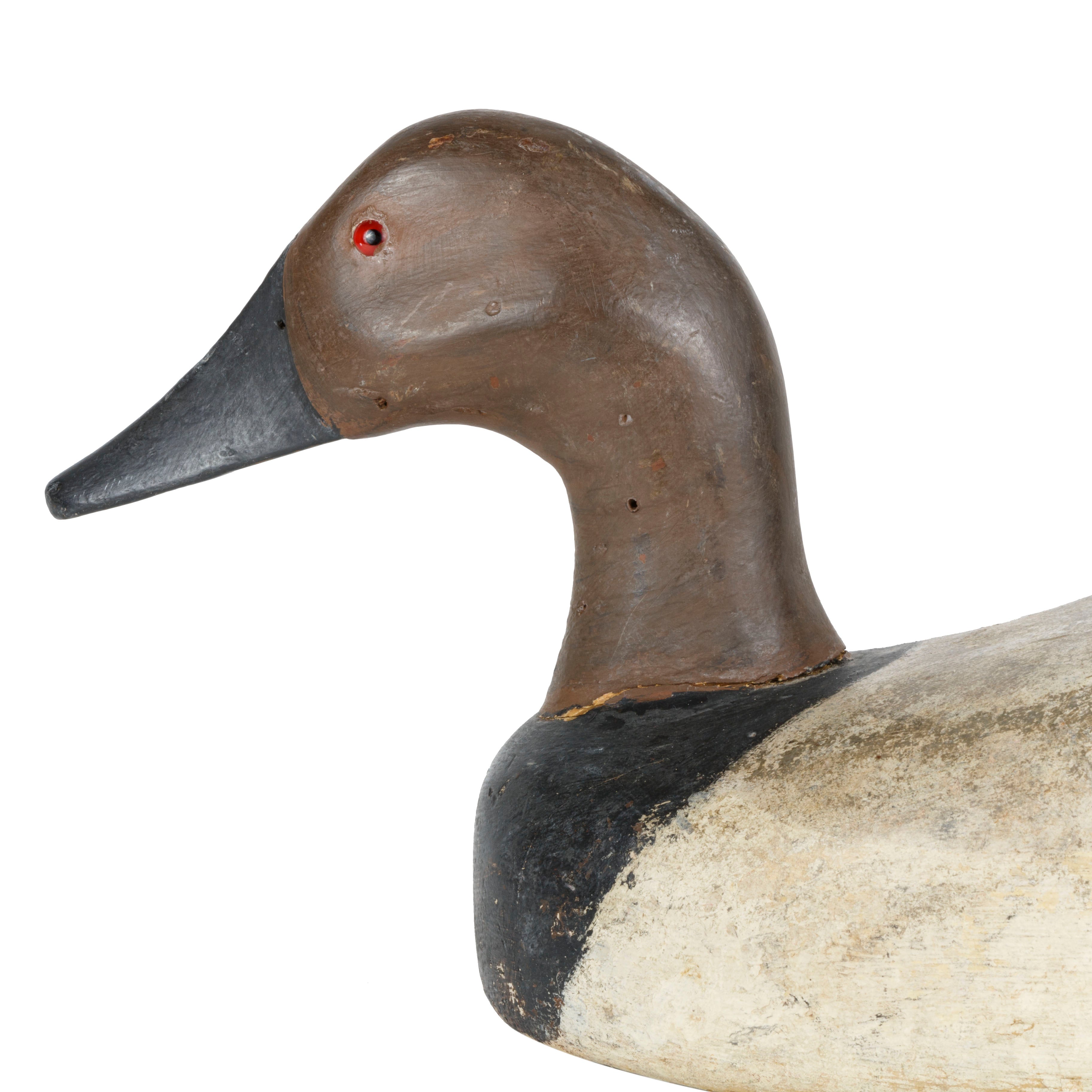 Joe Eisch Canvasback Drake