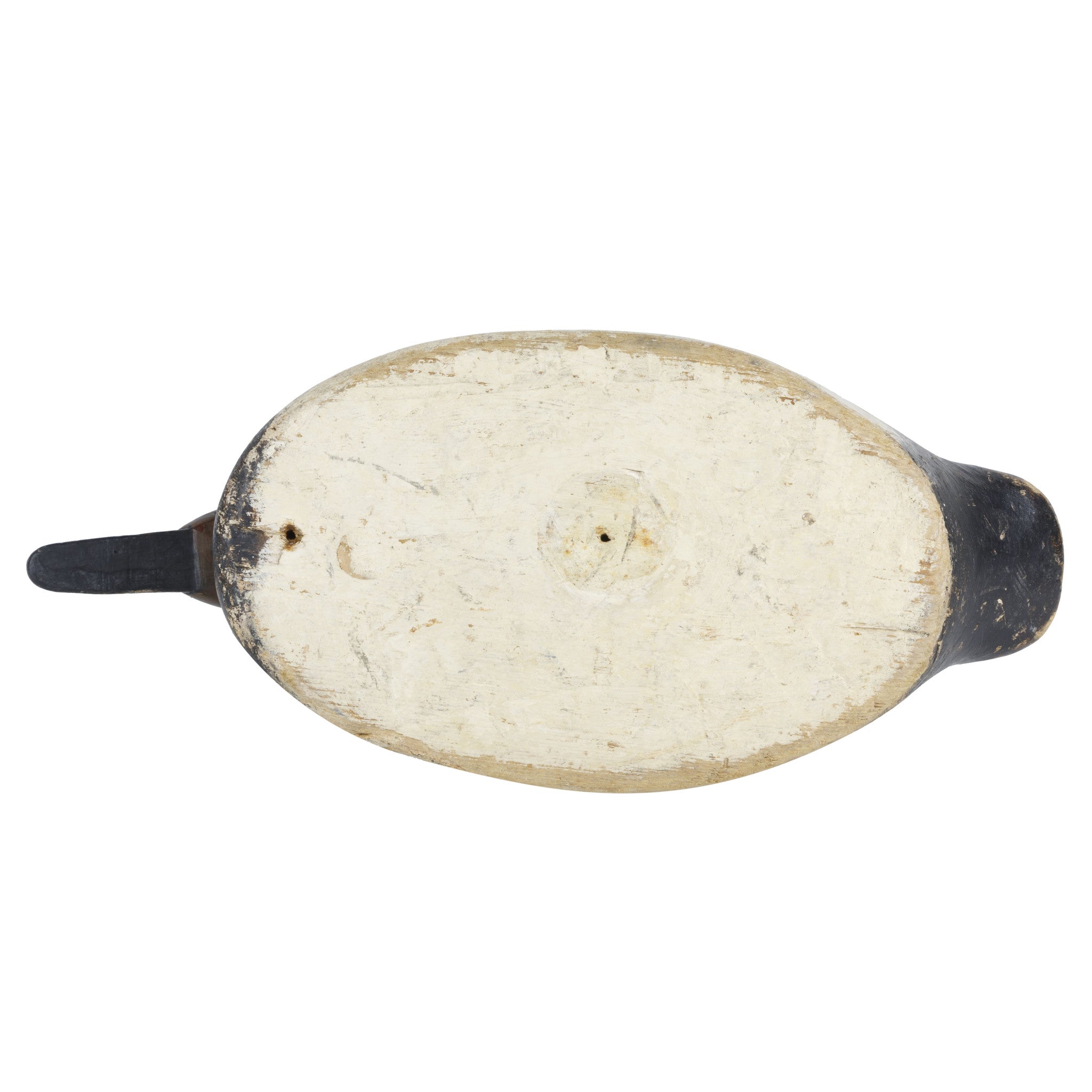 Joe Eisch Canvasback Drake
